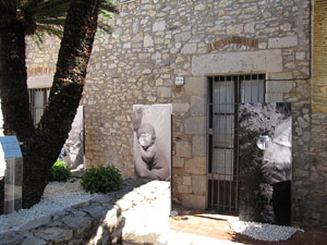 Jard&iacute; del Museu d'Art