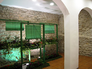 El carrer de la For&ccedil;a