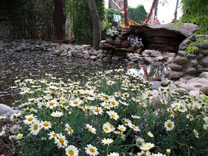 Torre Gironella i Jardins dels Alemanys