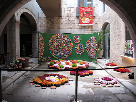 Pati de la Casa Solterra