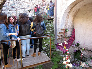 Els Banys &Agrave;rabs