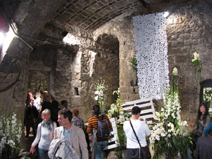 Les Sarra&iuml;nes