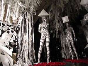 Casa de Lle&oacute; Avinay