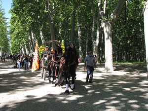 La Cavalcada de Sant Antoni 2014