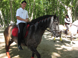 La Cavalcada de Sant Antoni 2014