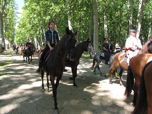 La Cavalcada de Sant Antoni 2014