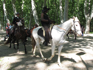 La Cavalcada de Sant Antoni 2014