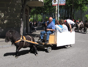 La Cavalcada de Sant Antoni 2014