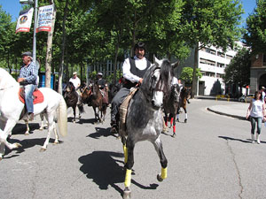 La Cavalcada de Sant Antoni 2014