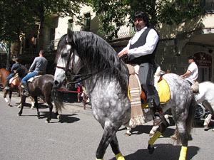 La Cavalcada de Sant Antoni 2014