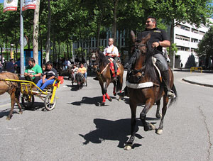 La Cavalcada de Sant Antoni 2014