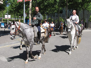 La Cavalcada de Sant Antoni 2014