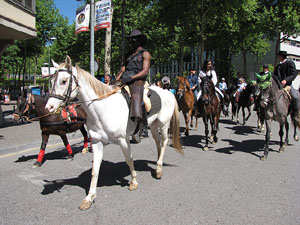 La Cavalcada de Sant Antoni 2014