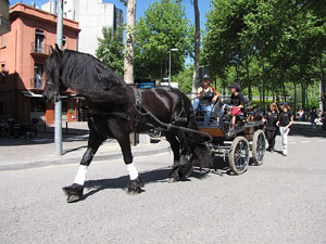 La Cavalcada de Sant Antoni 2014