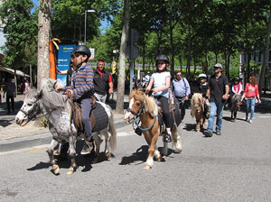 La Cavalcada de Sant Antoni 2014