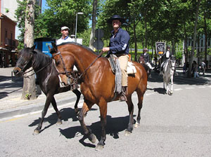 La Cavalcada de Sant Antoni 2014