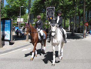 La Cavalcada de Sant Antoni 2014