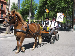 La Cavalcada de Sant Antoni 2014