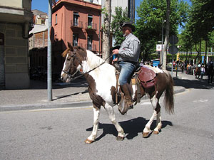 La Cavalcada de Sant Antoni 2014
