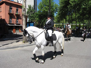 La Cavalcada de Sant Antoni 2014