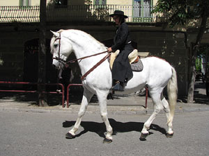 La Cavalcada de Sant Antoni 2014