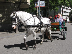 La Cavalcada de Sant Antoni 2014