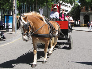 La Cavalcada de Sant Antoni 2014
