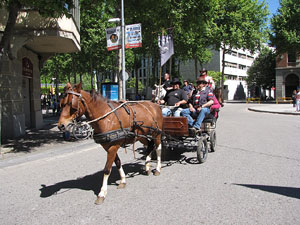 La Cavalcada de Sant Antoni 2014