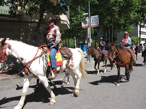 La Cavalcada de Sant Antoni 2014
