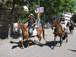 La Cavalcada de Sant Antoni 2014