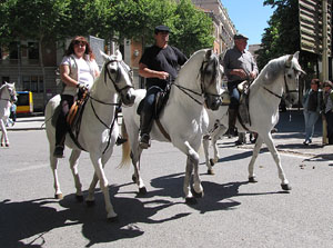 La Cavalcada de Sant Antoni 2014