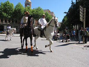 La Cavalcada de Sant Antoni 2014
