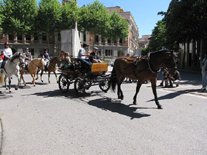 La Cavalcada de Sant Antoni 2014