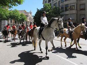 La Cavalcada de Sant Antoni 2014