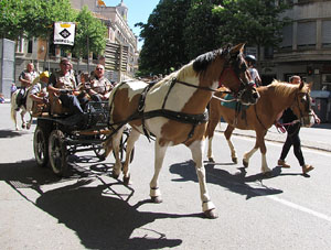La Cavalcada de Sant Antoni 2014