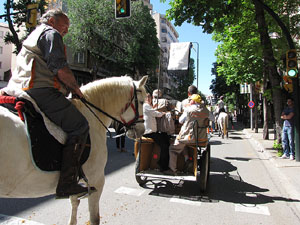 La Cavalcada de Sant Antoni 2014