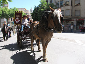 La Cavalcada de Sant Antoni 2014