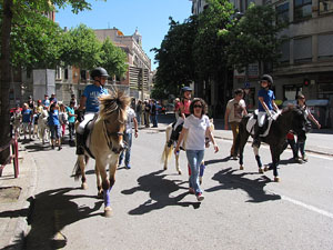La Cavalcada de Sant Antoni 2014