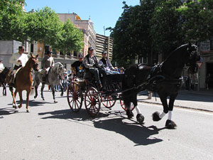 La Cavalcada de Sant Antoni 2014