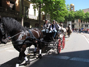 La Cavalcada de Sant Antoni 2014