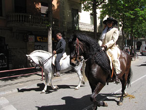 La Cavalcada de Sant Antoni 2014