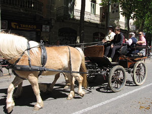 La Cavalcada de Sant Antoni 2014