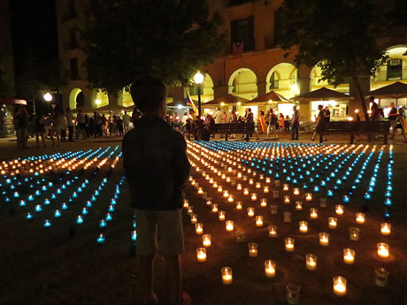 Diada Nacional 2014. L'estelada a la pla&ccedil;a de la Independ&egrave;ncia