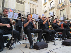 Diada Nacional 2014. Sardanes i concentraci&oacute; a la pla&ccedil;a del Vi