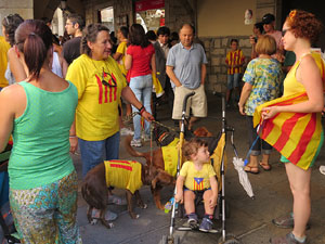 Diada Nacional 2014. Sardanes i concentraci&oacute; a la pla&ccedil;a del Vi