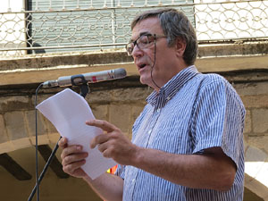 Diada Nacional 2014. Sardanes i concentraci&oacute; a la pla&ccedil;a del Vi