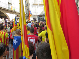 Diada Nacional 2014. Sardanes i concentraci&oacute; a la pla&ccedil;a del Vi