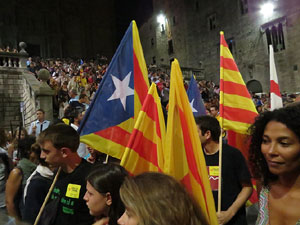 Diada Nacional 2014. La Marxa de Torxes