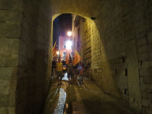 Diada Nacional 2014. La Marxa de Torxes