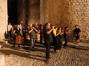 Diada Nacional 2014. La Marxa de Torxes